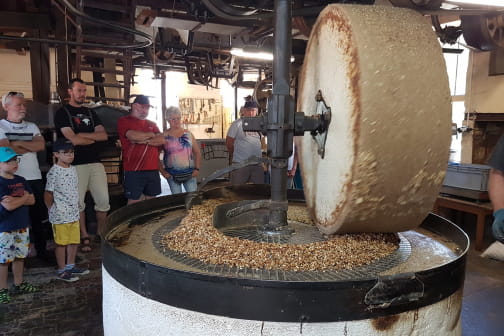 Visite de l'Huilerie du Moulin de l'île - DONZY
