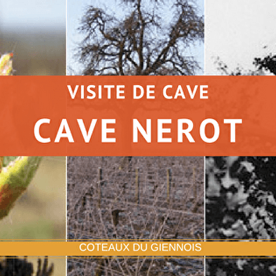 Cave Nérot