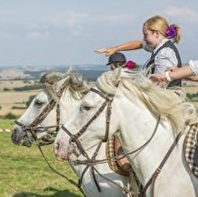 Centre équestre Camargue Equitation Loisirs en Nièvre