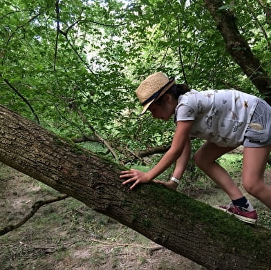 Les Aventuriers du Milieu de Loire - Journée nature pour les 6-12 ans