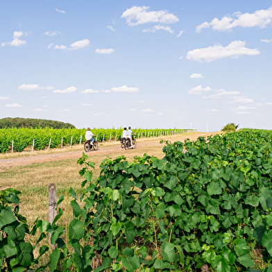 Circuit vélo : les plaines du Donziais à partir de Cosne-Cours-sur-Loire