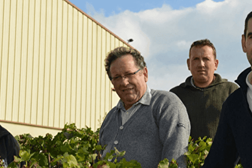 Vignobles Dauny - CREZANCY-EN-SANCERRE