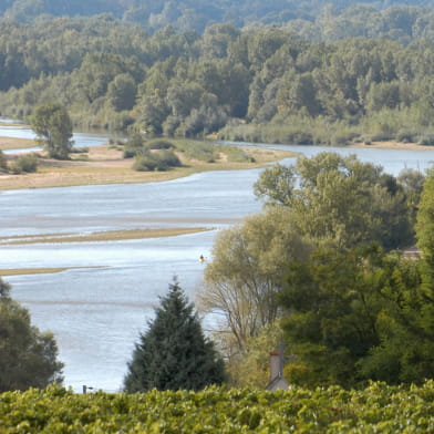 La Réserve Naturelle du Val de Loire
