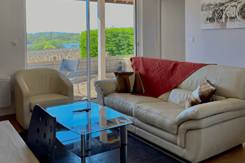 L'Espérance, vue sur la Loire et la vigne - POUILLY-SUR-LOIRE