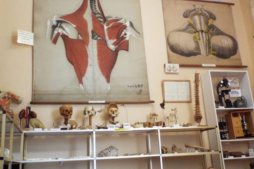 Musée de la Chirurgie Pr Christian Cabrol - MYENNES