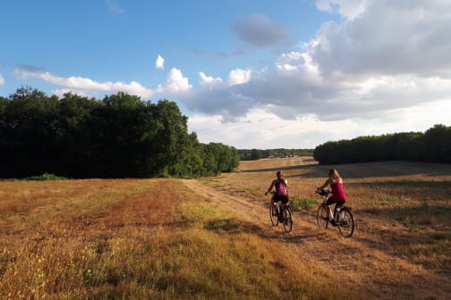 Circuit vélo : les plaines du Donziais à partir de Cosne-Cours-sur-Loire - COSNE-COURS-SUR-LOIRE