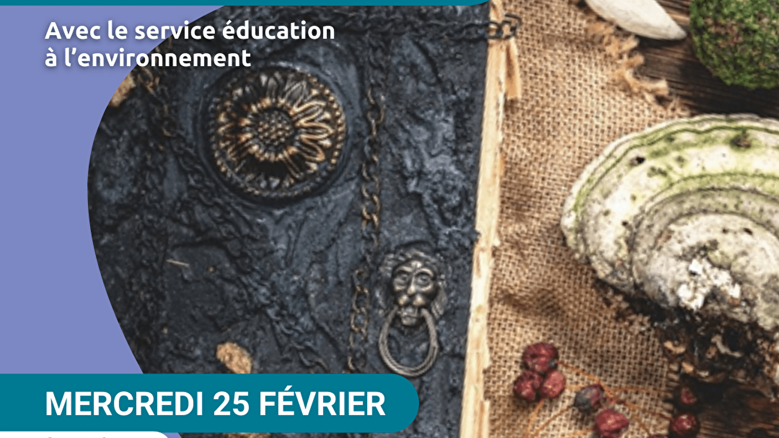 Atelier Plantes de sorcières