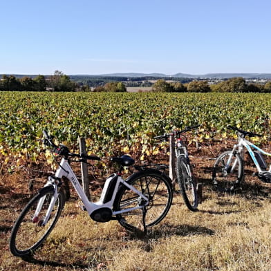 Location de vélos à assistance électrique à Cosne-Cours-sur-Loire