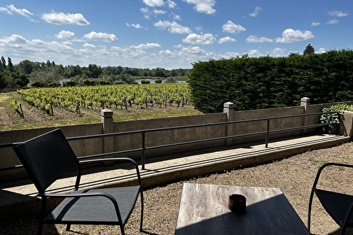 L'Espérance, vue sur la vigne et la Loire - POUILLY-SUR-LOIRE
