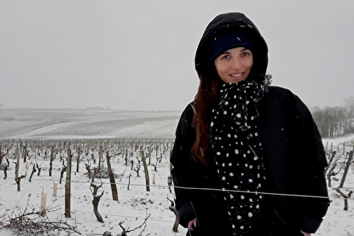 Domaine Figeat - POUILLY-SUR-LOIRE