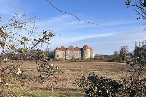Près du château fort de La Motte-Josserand - PERROY