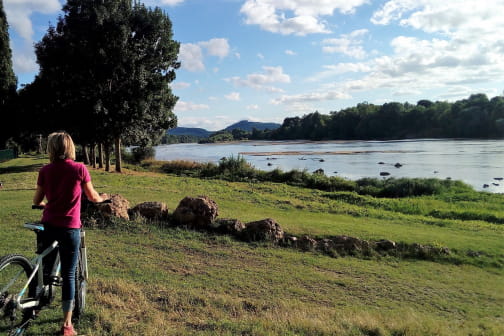 Circuit vélo : de Cosne-Cours-sur-Loire à Pouilly-sur-Loire - COSNE-COURS-SUR-LOIRE