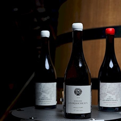 Domaine Les Ormousseaux