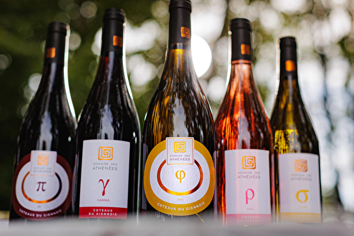 Cosne Wine Tour - COSNE-COURS-SUR-LOIRE