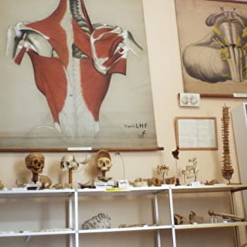Visite Guidée du Musée de la Chirurgie Pr Christian Cabrol - MYENNES