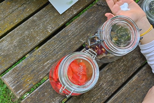 Aquarelle et peinture végétale - COSNE-COURS-SUR-LOIRE