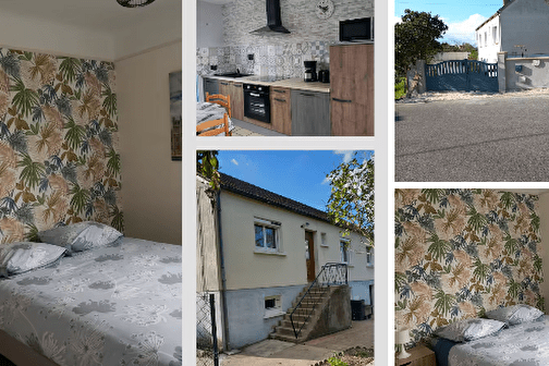 Les Cyclamens - COSNE-COURS-SUR-LOIRE