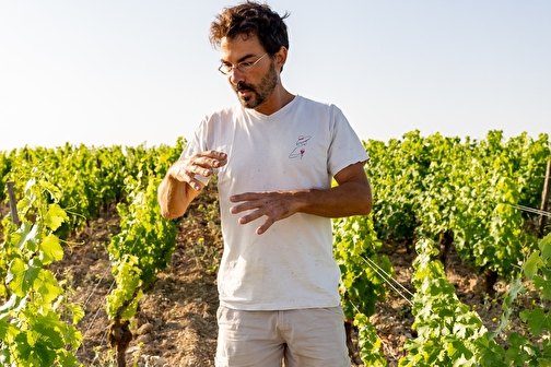 Domaine de la Chasseigne - POUGNY