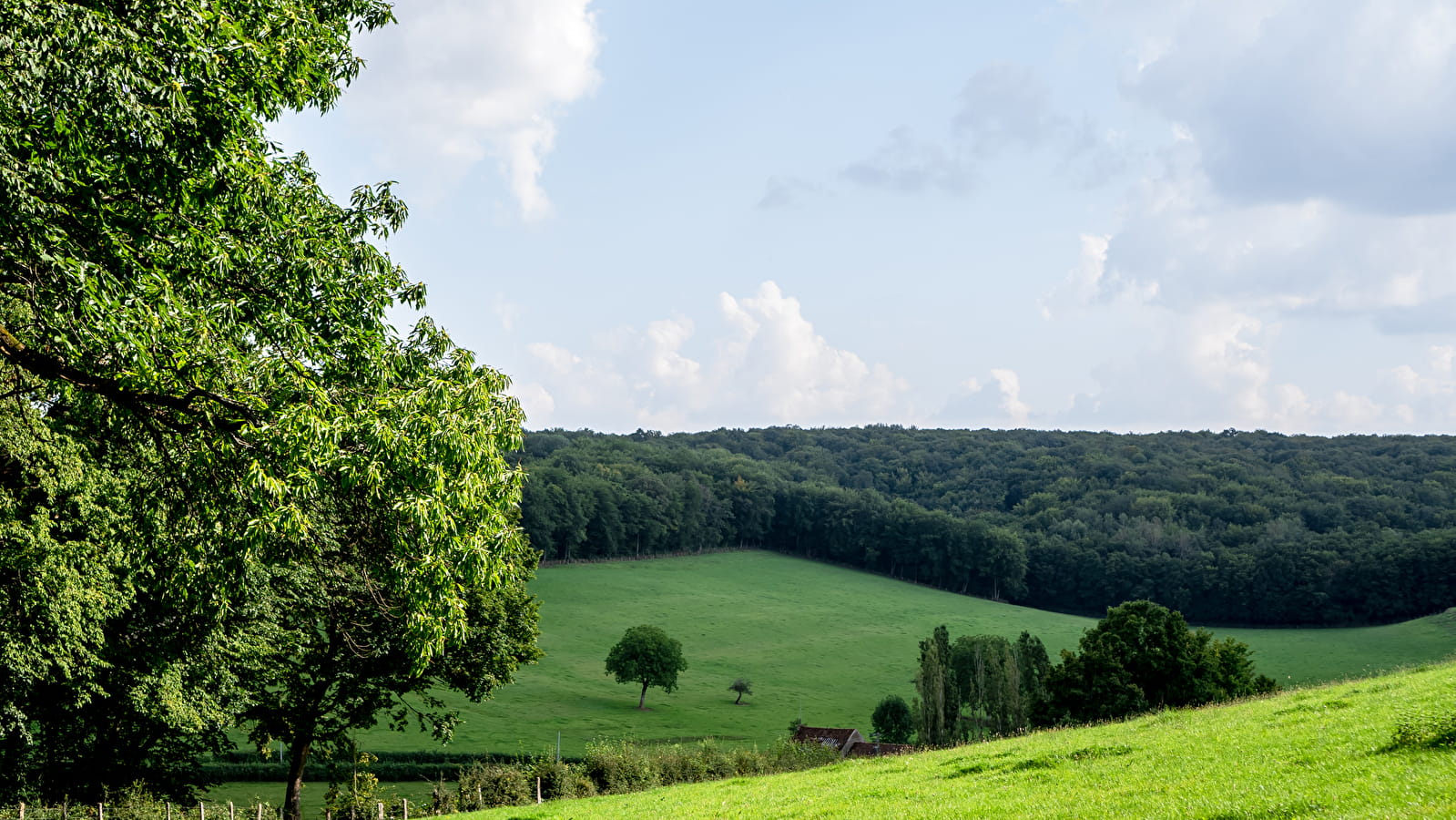 Circuit des Forges