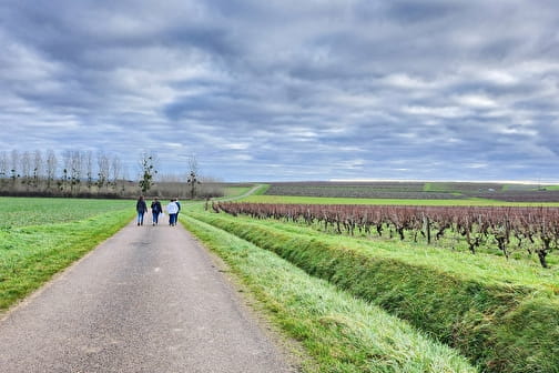Entre caves et claire fontaine de Saint-Andelain - SAINT-ANDELAIN