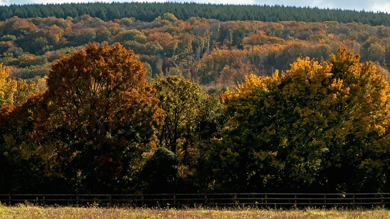 Randonnée Téléthon