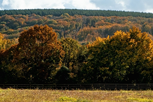 Randonnée Téléthon - CHATEAUNEUF-VAL-DE-BARGIS